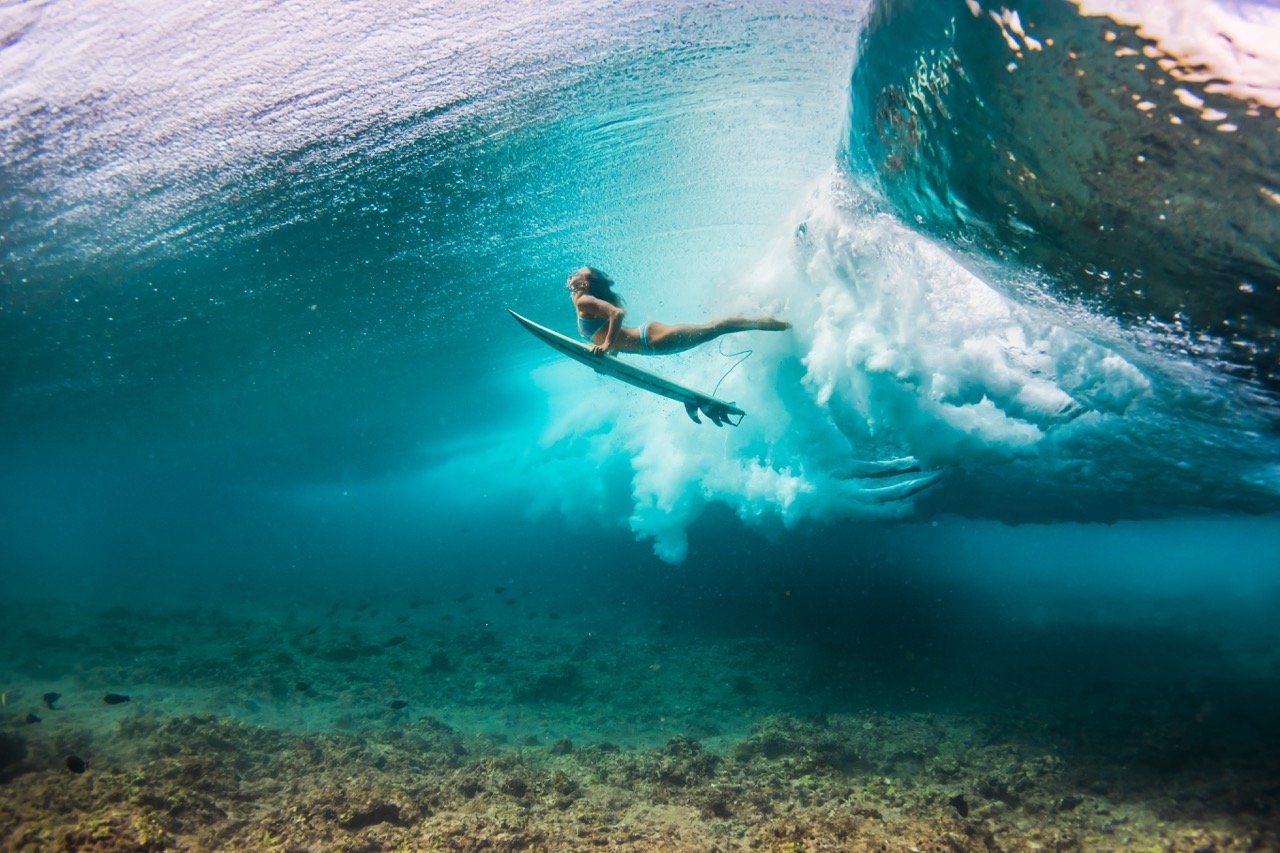 Maldives Ocean Expedition – Register Now